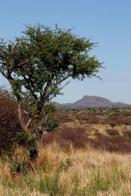 Vila Ondekaremba Exteriér fotografie